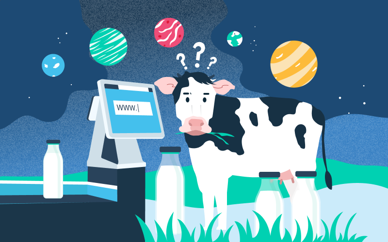 Jitta Wealth Journal